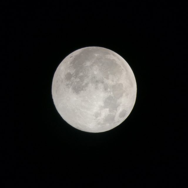 25620219_๑๙๐๒๑๙_0028