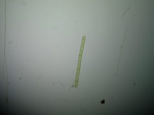 LINE_ALBUM_41064_๒๑๑๑๒๓